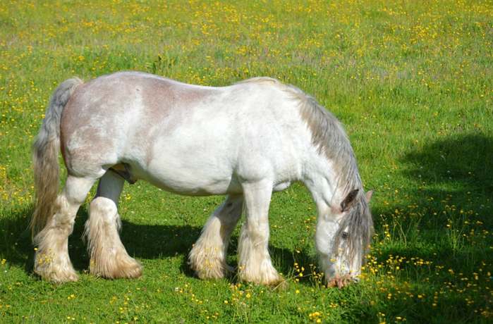 cadastro